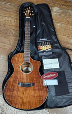 Breedlove Pursuit Concert All