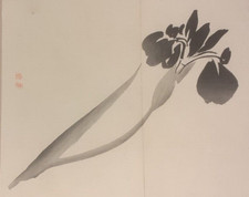 GYOKUSHO IRIS MEIJI JAPANESE WOODBLOCK PRINT AYAME ORIGINAL WOODCUT