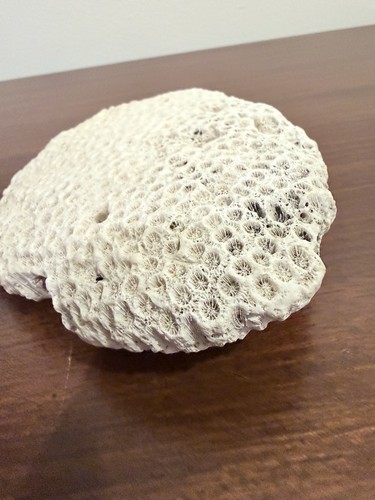 Large heavy natural white - heavy,