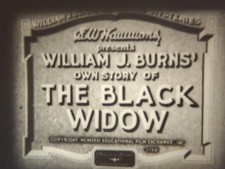 THE BLACK WIDOW 1931 SUPER 8