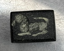 Beautiful Old Roman Intaglio