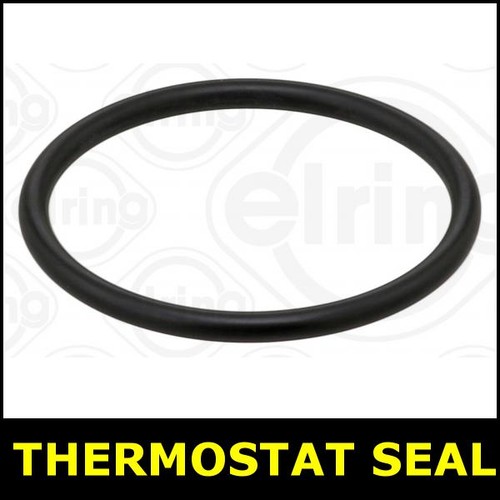 Thermostat seal fits beetle - thermostat,