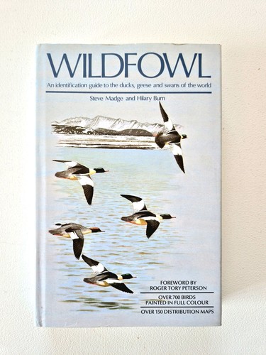 Wildfowl identification to - wildfowl:,