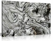 Black & White Driftwood Canvas