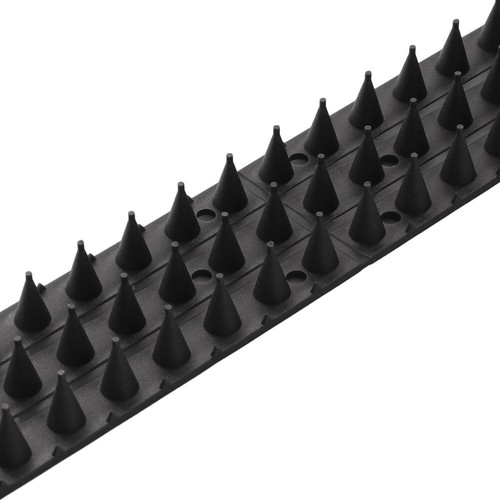 Anti bird spikes - bird, pigeon