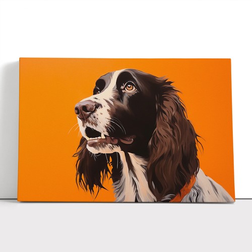 English springer spaniel - english,