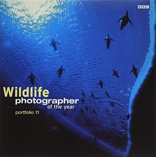 Wildlife photographer the - wildlife,