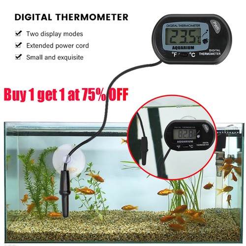 Digital aquarium fish tank - aquarium,