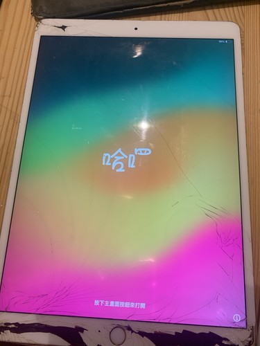 Ipad pro 256 - ipad,