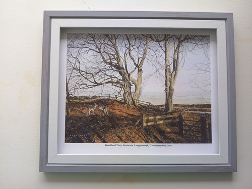 Alan ingham print - print, 'woodland