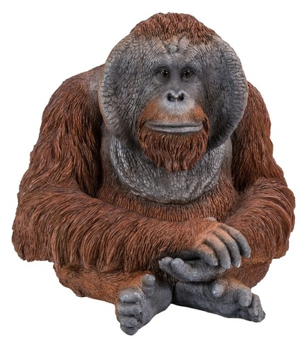 Large real life orangutan - large, |