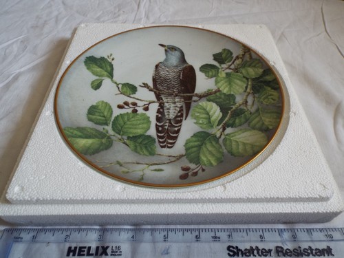 Franklin cuckoo - cuckoo, (707)