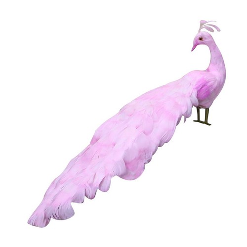Garden decoration taxidermy - decoration, of