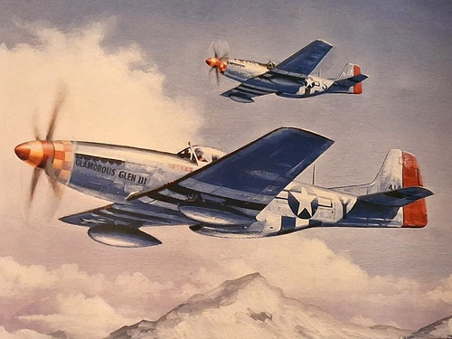 51d mustang aviation poster - p-51d,
