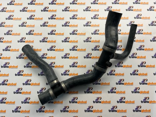 Radiator top hose - hose, land