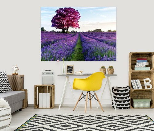 Purple lavender b544 wall - 3d,