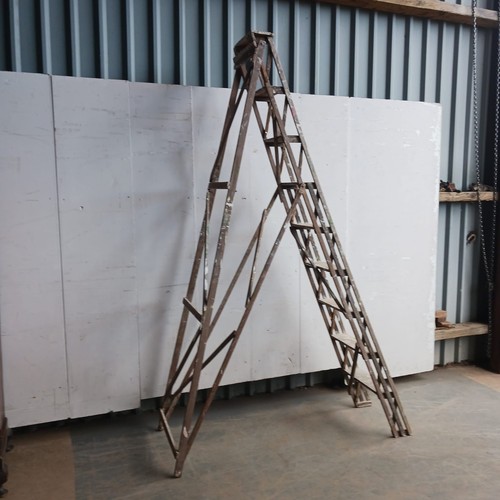Tall wooden step ladder