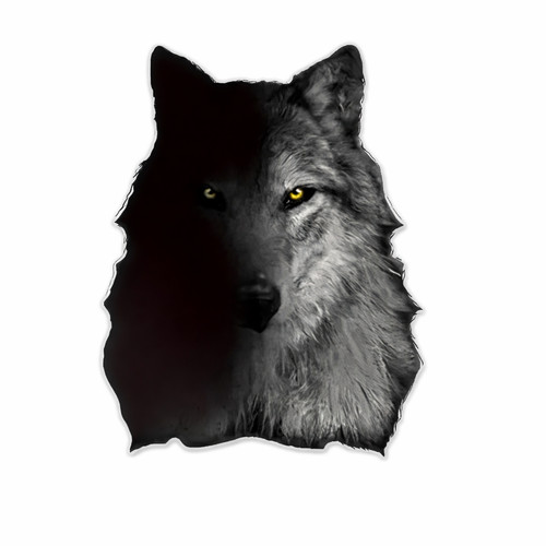 Wolf watching from - from, the