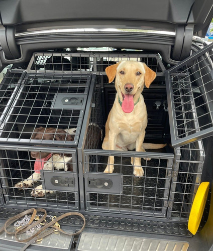 Double steel car - dog, cage