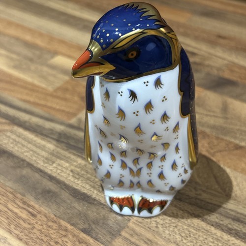 Rockhopper penguin royal - -,