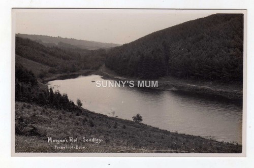 Gloucestershire forest of - gloucestershire,,