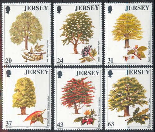 Jersey 1997 trees set - 1997,