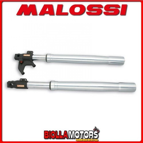 4612994 pair malossi fork - 4612994, of