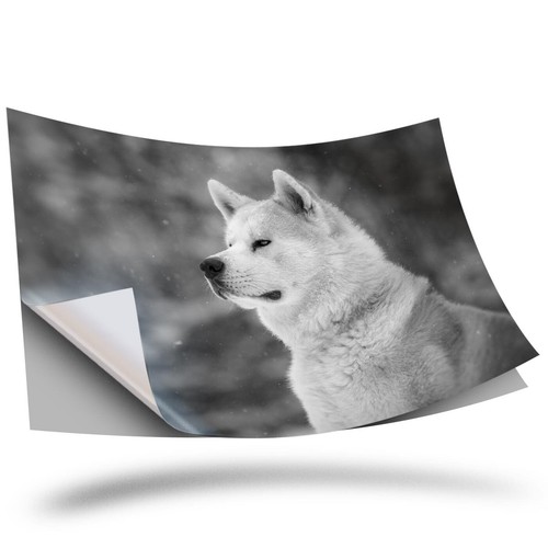 Vinyl sticker bw - 1,