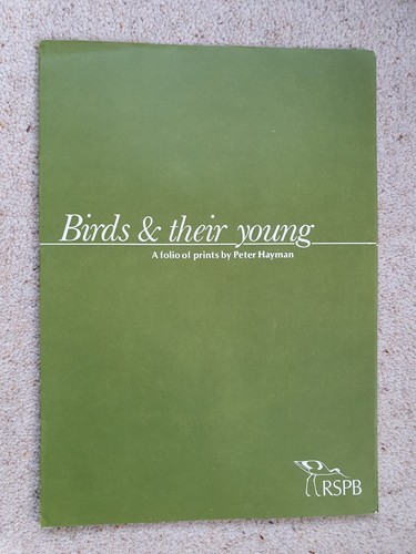Birds their young a - +,