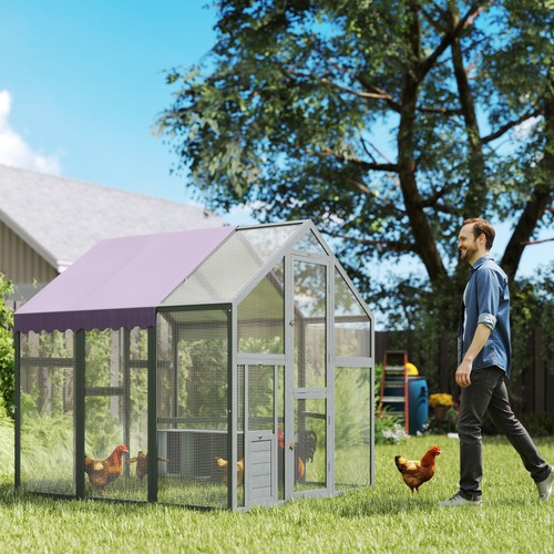 Large chicken run walk - chicken, run,