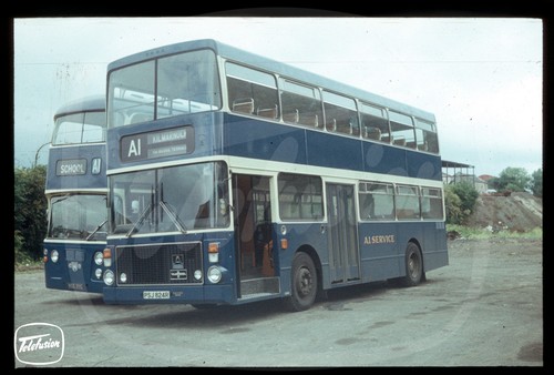 Copy bus slide - copy,