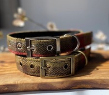 Hunter green tweed dog collar - dog,