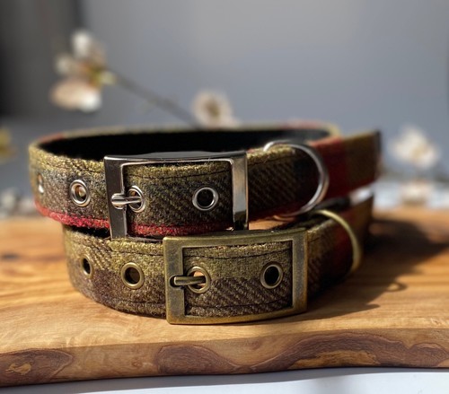 Hunter green tweed - tweed, dog