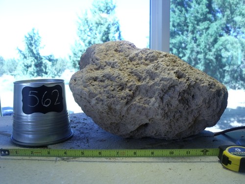 Xlarge pumice stone - xlarge,