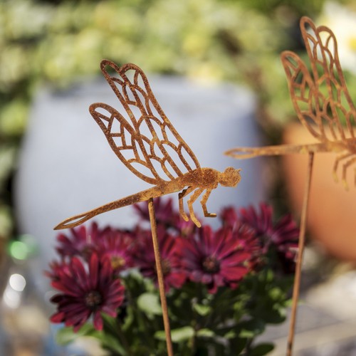 Set rusty dragonfly - 2,