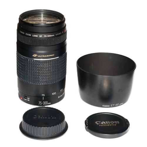 Canon 300mm 5 6 - ef, 75-300mm