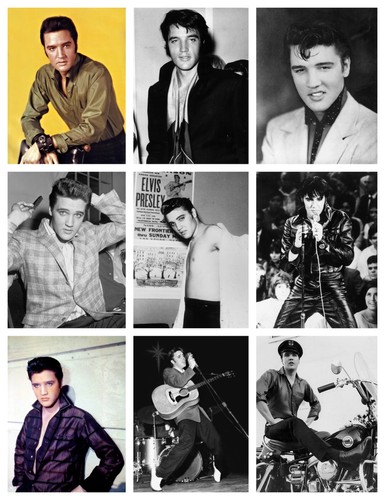 Elvis poster lots sizes - elvis,