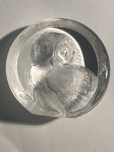 Mats jonasson sweden fledgling - jonasson,