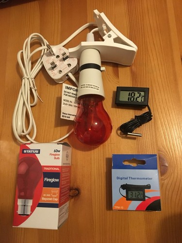 Clip brooder heat lamp 1 - clip, x