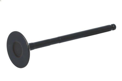 Exhaust valve 148096000900 - ne,