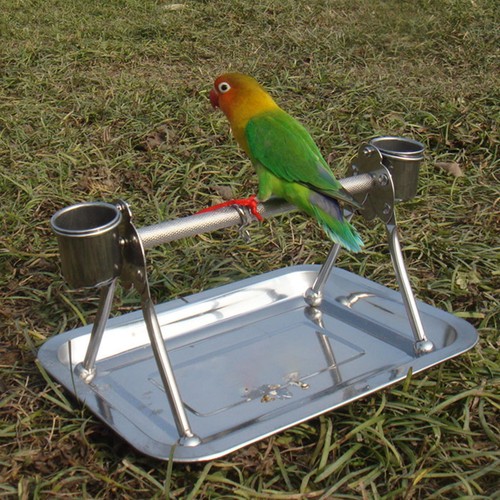 Parrot stand tabletop - stand,