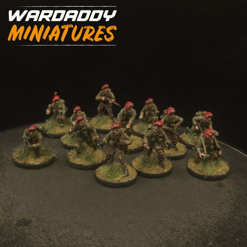 Pro painted 28mm - painted, bolt
