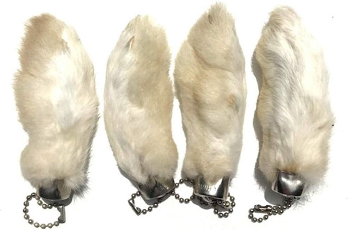 Rabbit rabbits foot - foot, keychain