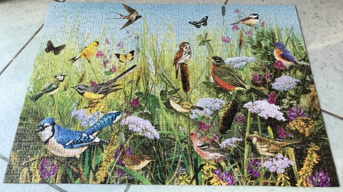 Gibsons feathered friends - friends, by