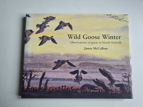 2001 1st wild goose - 1st, winter