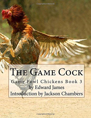 The game cock fowl - cock:,