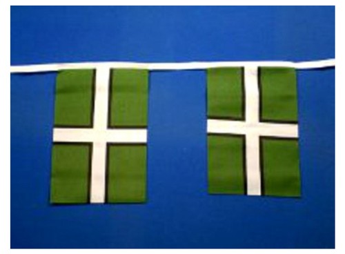 Devon flag bunting 10metres - devon,