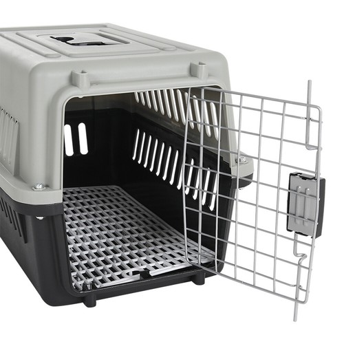 Grey dog cat - carrier, box