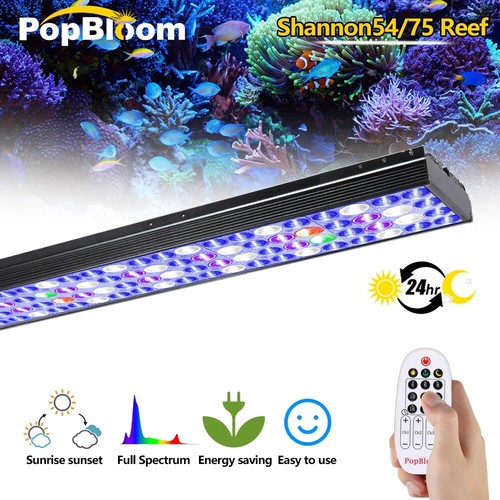 Popbloom timer control marine - timer,