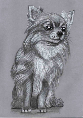 Original artwork picture w - artwork,